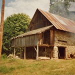 photo6
